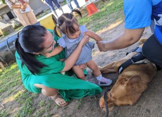 Crianças autistas participam de sessão de cinoterapia com cães do Bope em Macapá