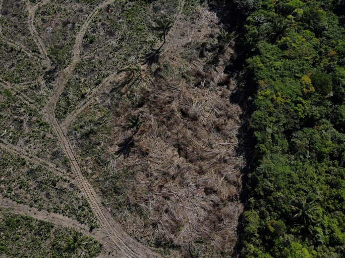 2022-10-07t171259z-1021400778-rc2l7v9lsv3p-rtrmadp-3-brazil-environment-scaled