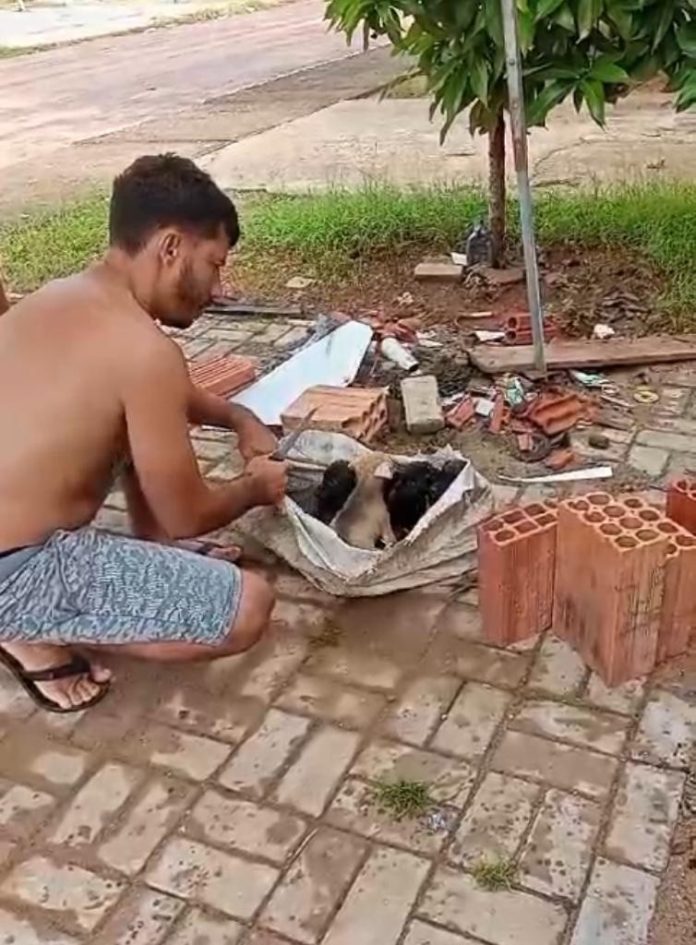 whatsapp-image-2024-01-19-at-21.53.11