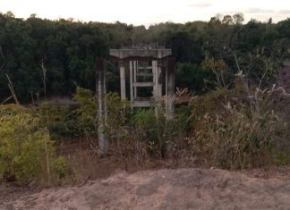Ponte abandonada no meio de mata começou a ser construída há 20 anos no TO
