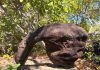 Trilha no Tocantins tem paisagens de tirar o fôlego e pedra com formato erótico